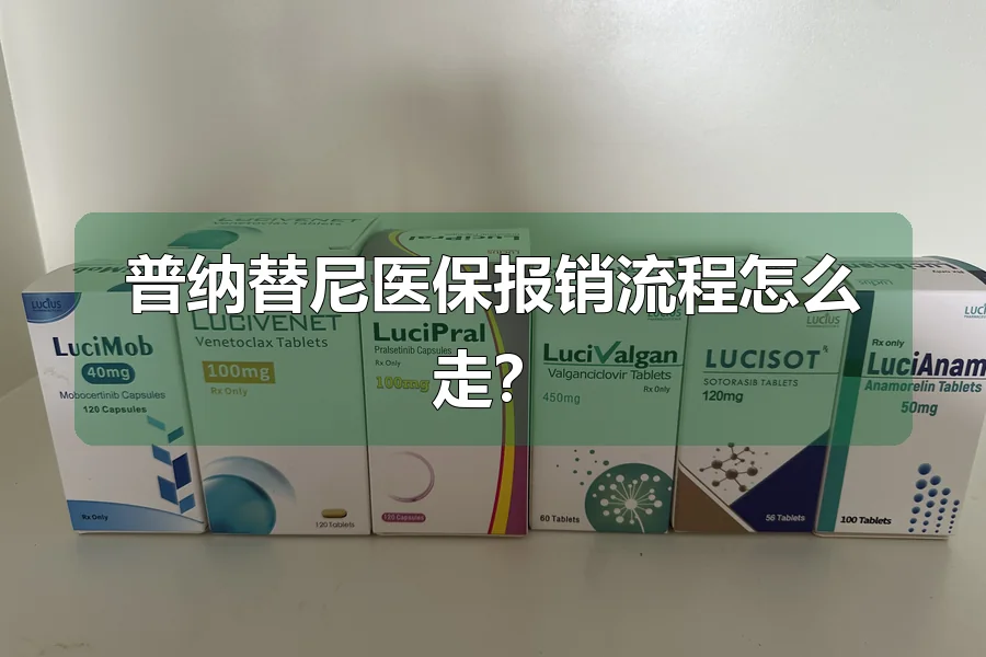 普纳替尼医保报销流程怎么走？