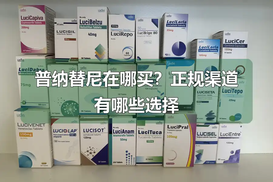 普纳替尼在哪买？正规渠道有哪些选择