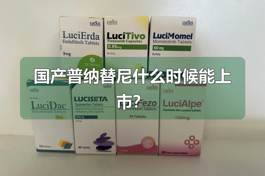 国产普纳替尼什么时候能上市?